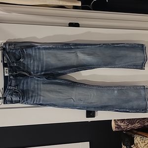 Daytrip Size 31 Long Jeans
